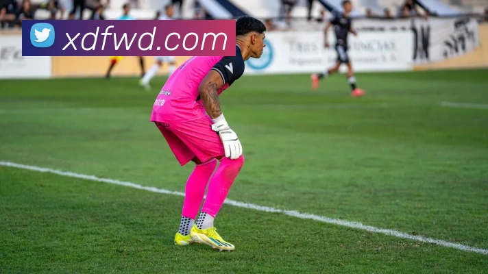 问鼎官网入口全站App